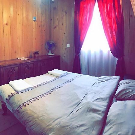 Guesthouse Greenside Borjomi Bagian luar foto
