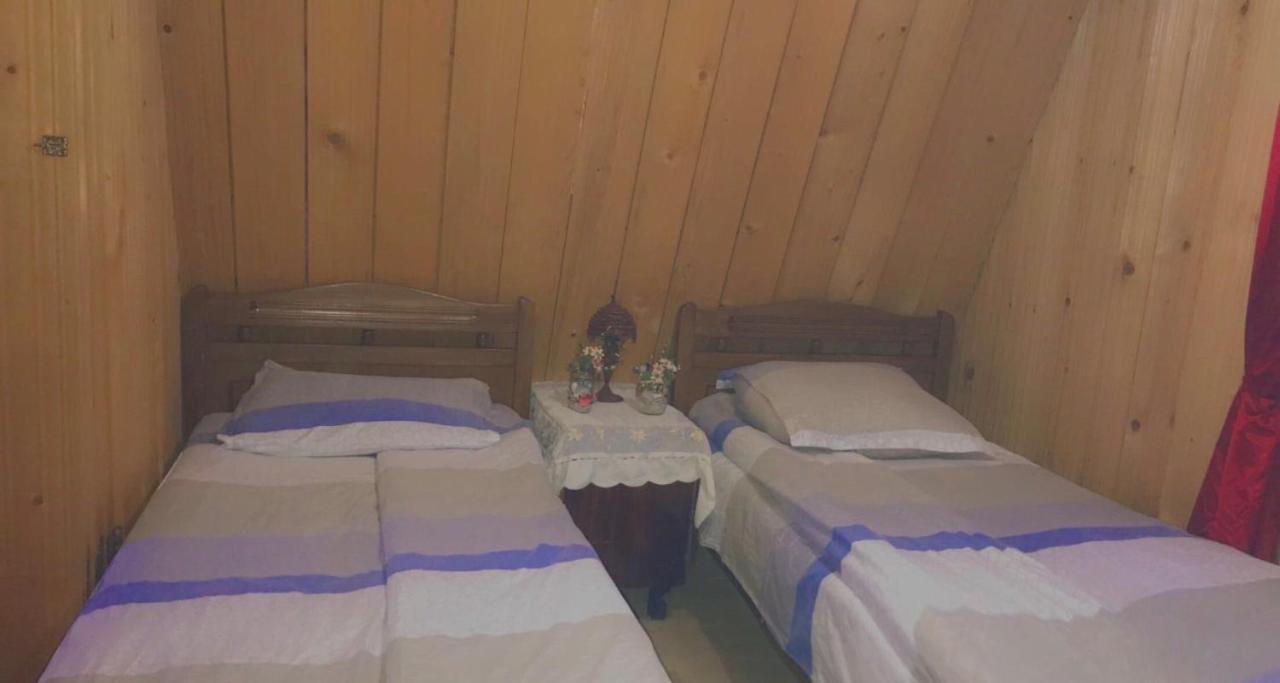 Guesthouse Greenside Borjomi Bagian luar foto