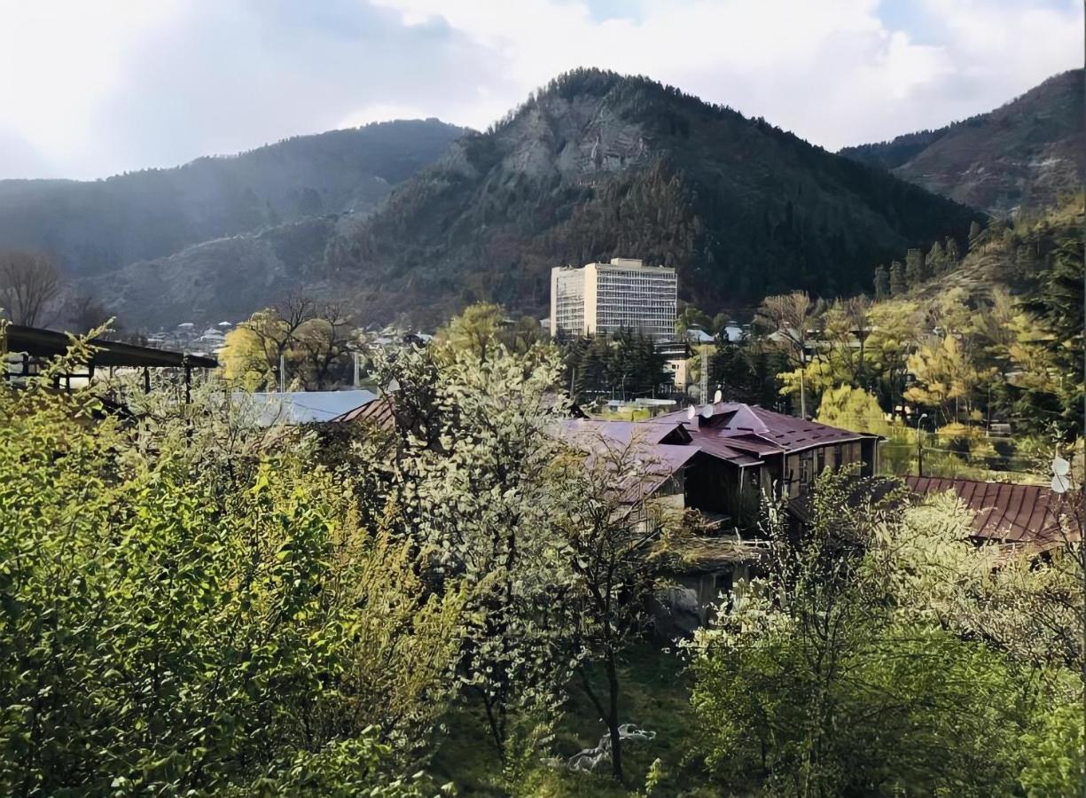 Guesthouse Greenside Borjomi Bagian luar foto