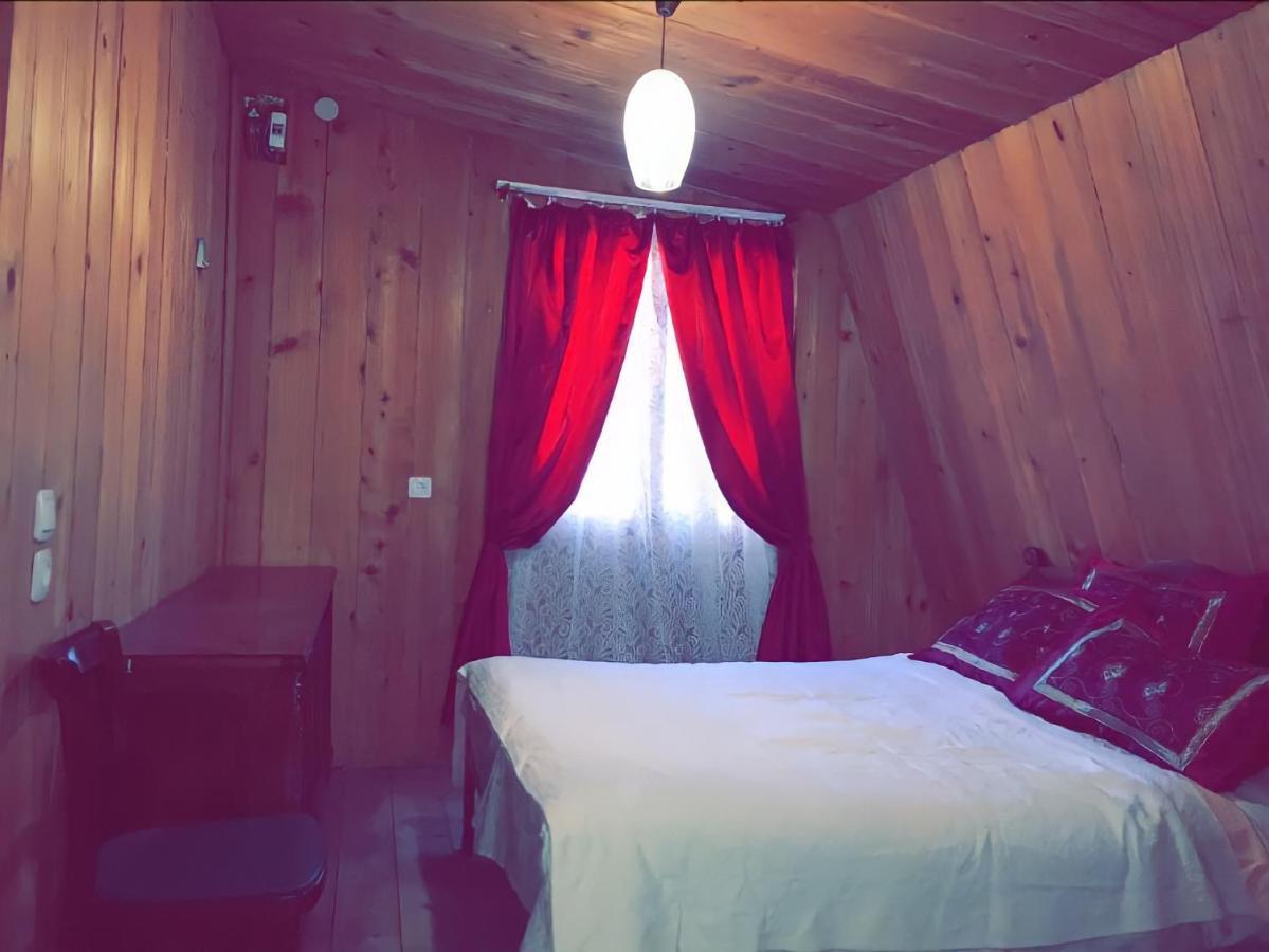 Guesthouse Greenside Borjomi Bagian luar foto