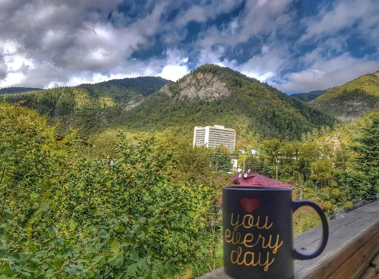 Guesthouse Greenside Borjomi Bagian luar foto