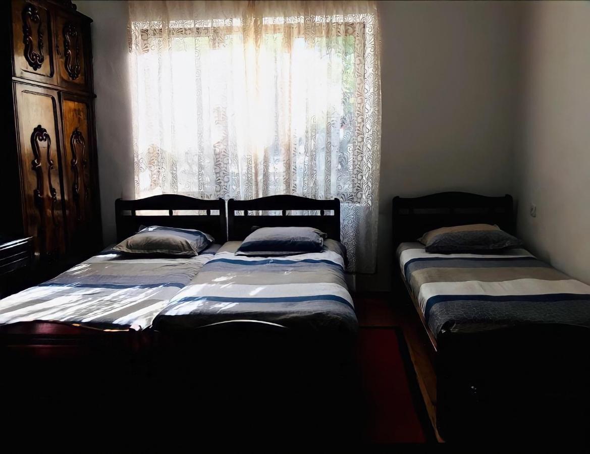 Guesthouse Greenside Borjomi Bagian luar foto